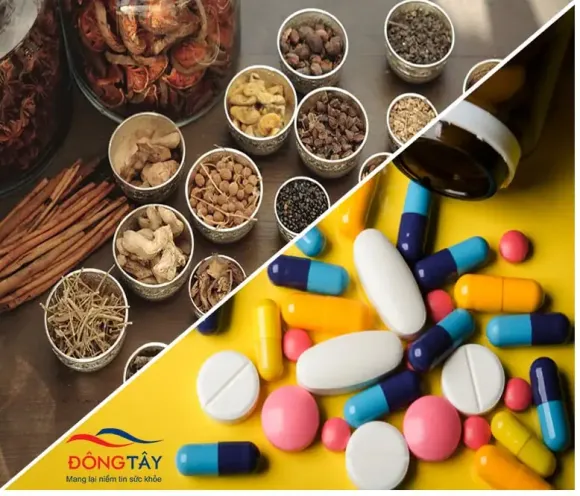 Đông Y Hỗ Trợ Điều Trị Viêm Xoang – Giải Pháp Lành Tính Cho Người Bệnh