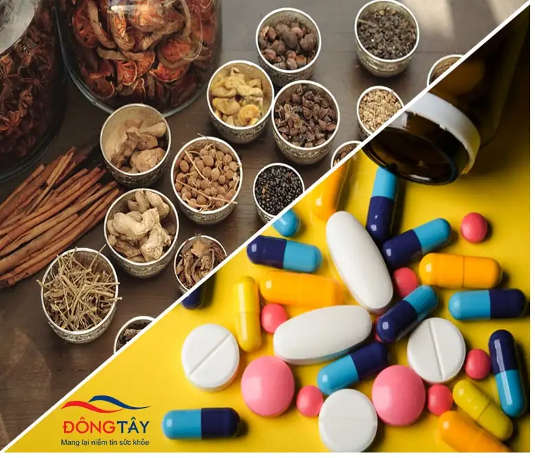 Đông Y Hỗ Trợ Điều Trị Viêm Xoang – Giải Pháp Lành Tính Cho Người Bệnh